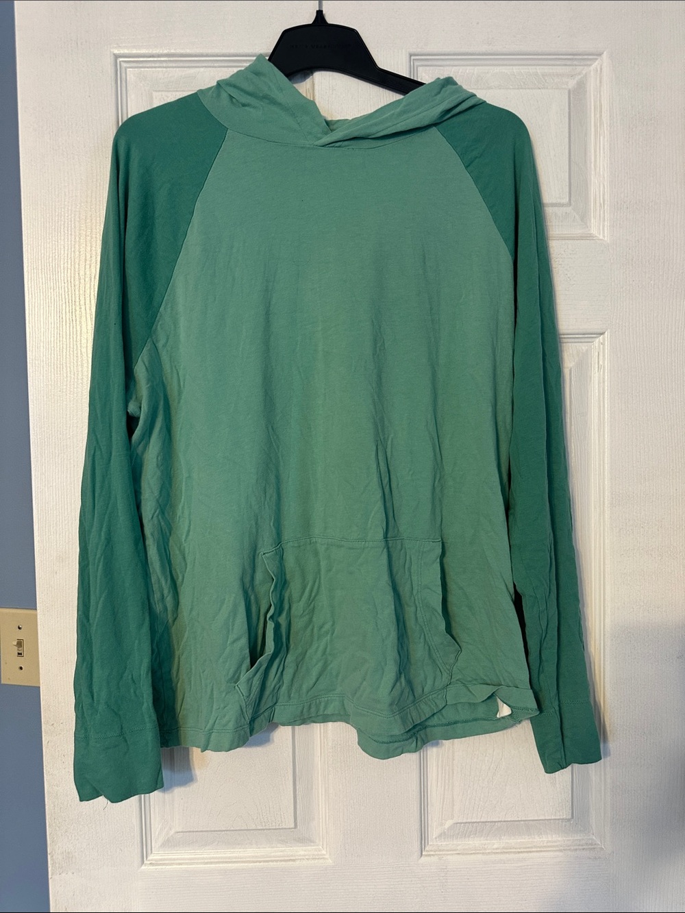 Gap Light Teal Hooded Pullover